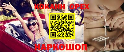 спиды Заводоуковск